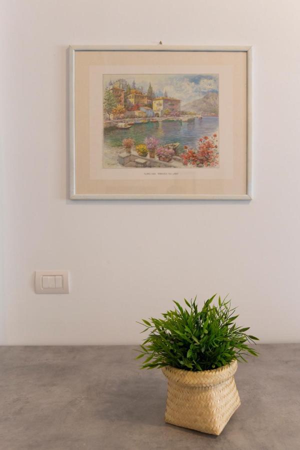 Gray Pearl - Modern Apartment In City Center 아로나 외부 사진